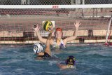 Lemoore's Makailyn Phelps will return to the pool for the girls' water polo team as the Tiger ladies open their season at Kingsburg Thursday.